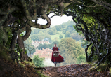 Фильм Чем дальше в лес... / Into the Woods (2014) - cцена 5