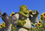 Мультфильм Шрэк / Shrek (2001) - cцена 6