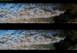 ТВ Чудеса моря в 3D / Wonders of the Sea 3D (2017) - cцена 1