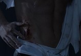 Сериал Волчонок / Teen Wolf (2011) - cцена 9