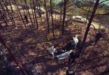 Сериал В густом лесу / The Woods (2020) - cцена 3