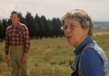 Фильм Безумный Макс / Mad Max (1979) - cцена 3