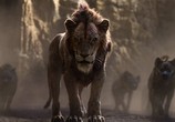 Мультфильм Король Лев / The Lion King (2019) - cцена 3