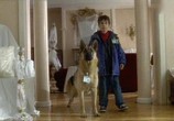 Сериал Комиссар Рекс / Kommissar Rex (1994) - cцена 4