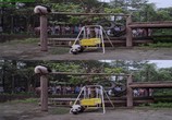 ТВ Панды: Путешествие домой / Pandas: The Journey Home (2014) - cцена 9