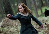 Фильм Гарри Поттер и Дары смерти: Часть 1 / Harry Potter and the Deathly Hallows: Part 1 (2010) - cцена 1