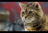 Сцена из фильма Крошечные существа / Tiny Creatures (2020) Крошечные существа сцена 10
