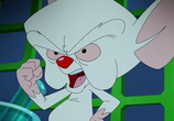 Мультфильм Озорные анимашки / Animaniacs (2020) - cцена 3