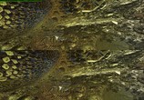 ТВ 3Д Шедевры: San Base - Функция реальности / 3D Masterpieces: San Base – Function of Reality (2013) - cцена 3