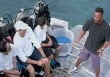 Фильм Открытое море / Open water (2004) - cцена 2