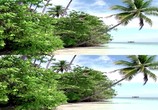 ТВ Кораллы 3Д: Магия Индо-Тихоокеании в 3Д / Corals 3D: Magic of the Indo-Pacific 3D (2012) - cцена 1