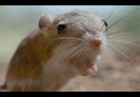Сцена из фильма Крошечные существа / Tiny Creatures (2020) Крошечные существа сцена 1