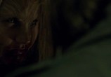 Сцена из фильма Когда звери мечтают / Når dyrene drømmer (2014) Когда звери мечтают сцена 12