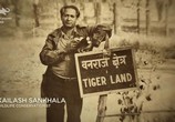 Фильм Спасти тигра / Tigerland (2019) - cцена 1