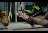 ТВ Крошечные существа / Tiny Creatures (2020) - cцена 4