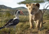Мультфильм Король Лев / The Lion King (2019) - cцена 1