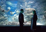 Сериал План любви / Plan Coeur (2018) - cцена 2