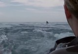 Фильм Над глубиной: Хроника выживания / Cage Dive (2017) - cцена 3
