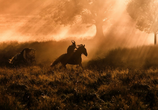 Фильм Малефисента / Maleficent (2014) - cцена 9