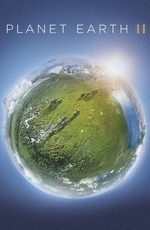 BBC: Планета Земля 2 / Planet Earth II (2016)