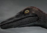 ТВ Планета динозавров. Совершенные убийцы. / Planet dinosaur. Ultimate killers (2011) - cцена 3