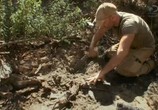 ТВ Эд Стаффорд выживший / Ed Stafford: Left for Dead (2017) - cцена 3
