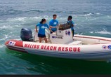 Сериал Спасатели Малибу / Malibu Rescue (2019) - cцена 3