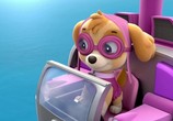 Мультфильм Щенячий патруль / PAW Patrol (2013) - cцена 5