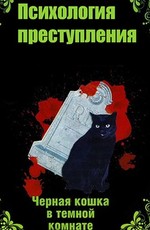 Психология преступления. Чёрная кошка в тёмной комнате (2021)