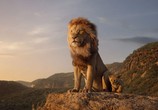 Мультфильм Король Лев / The Lion King (2019) - cцена 2
