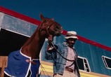 Фильм Чемпион / Secretariat (2010) - cцена 2