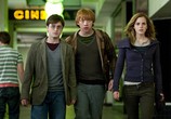 Фильм Гарри Поттер и Дары смерти: Часть 1 / Harry Potter and the Deathly Hallows: Part 1 (2010) - cцена 8