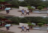 ТВ Панды: Путешествие домой / Pandas: The Journey Home (2014) - cцена 3