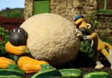 Мультфильм Барашек Шон / Shaun the Sheep (2007) - cцена 2