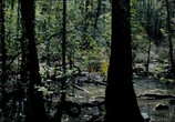 Фильм Воин / The One Warrior (2011) - cцена 3