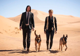 Фильм Джон Уик 3 / John Wick: Chapter 3 - Parabellum (2019) - cцена 4