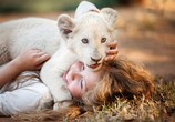 Фильм Миа и белый лев / Mia et le lion blanc (2019) - cцена 2