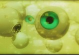Мультфильм Призрак в доспехах 2: Невинность / Ghost in the Shell 2: Innocence (2004) - cцена 1