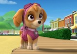 Мультфильм Щенячий патруль / PAW Patrol (2013) - cцена 4