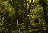 Фильм Затерянный мир / The Lost World (1925) - cцена 5