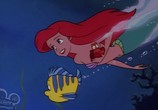 Мультфильм Русалочка / The Little Mermaid: The series (1992) - cцена 2