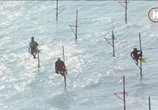 Сцена из фильма Земля. Природа нашей планеты / Earth: The Nature of our Planet (2018) Земля. Природа нашей планеты сцена 14